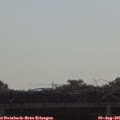 09_55-mast.jpg