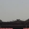 10_00-mast.jpg