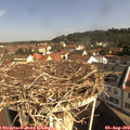 10_00-nest.jpg