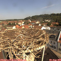 10_30-nest.jpg
