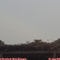 10_40-mast.jpg