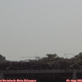 10_50-mast.jpg