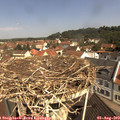 10_50-nest.jpg
