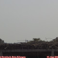 10_55-mast.jpg