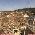 11_00-nest.jpg