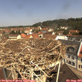 11_10-nest.jpg