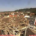 11_20-nest.jpg