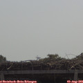 11_25-mast.jpg