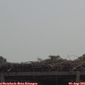 11_30-mast.jpg