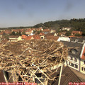 11_40-nest.jpg