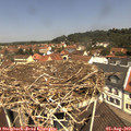 11_45-nest.jpg