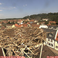 11_55-nest.jpg