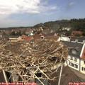 12_05-nest.jpg