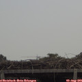 12_10-mast.jpg