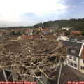 12_10-nest.jpg