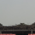 12_15-mast.jpg