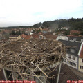 12_15-nest.jpg