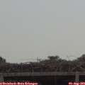 12_20-mast.jpg