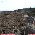 12_20-nest.jpg
