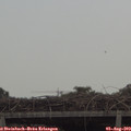 12_25-mast.jpg