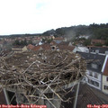 12_25-nest.jpg