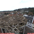12_30-nest.jpg