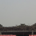 12_35-mast.jpg