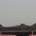 12_40-mast.jpg