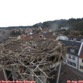 12_40-nest.jpg