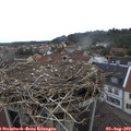 12_45-nest.jpg