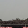 12_55-mast.jpg