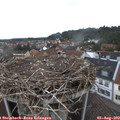 13_05-nest.jpg