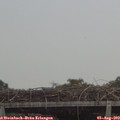 13_10-mast.jpg