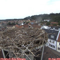 13_10-nest.jpg