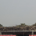 13_15-mast.jpg