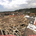 13_15-nest.jpg