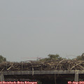 13_20-mast.jpg