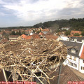 13_20-nest.jpg