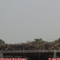 13_25-mast.jpg