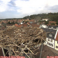 13_25-nest.jpg