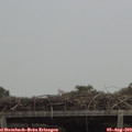 13_30-mast.jpg