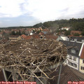 13_30-nest.jpg