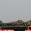 13_35-mast.jpg
