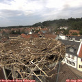 13_35-nest.jpg