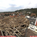 13_40-nest.jpg