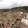 13_45-nest.jpg