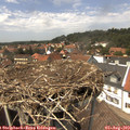 14_05-nest.jpg