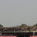 14_10-mast.jpg