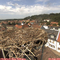14_10-nest.jpg