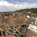 14_15-nest.jpg